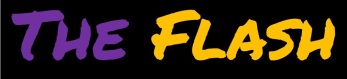 flash-logo-4